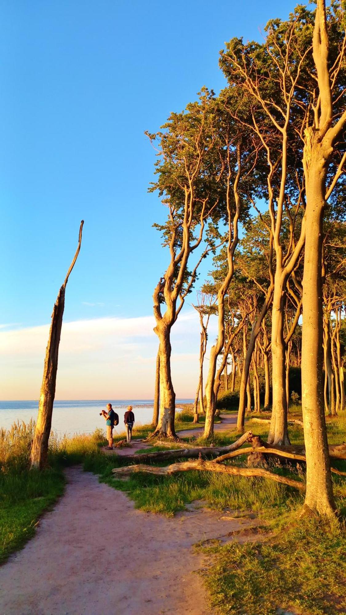 Ostsee Hotel-Pension An Der Lindenallee Bad Doberan Kültér fotó